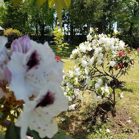 Cabanas Risso Villa Villarrica Luaran gambar