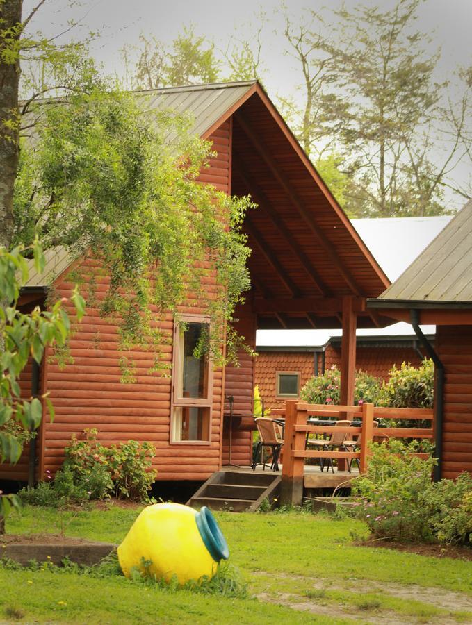 Cabanas Risso Villa Villarrica Luaran gambar