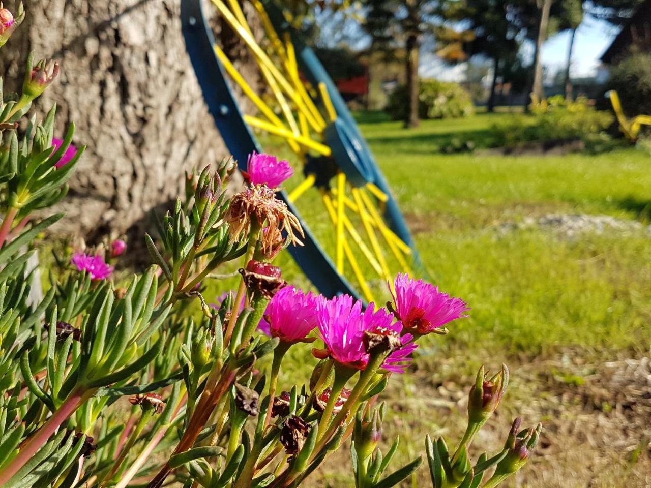 Cabanas Risso Villa Villarrica Luaran gambar
