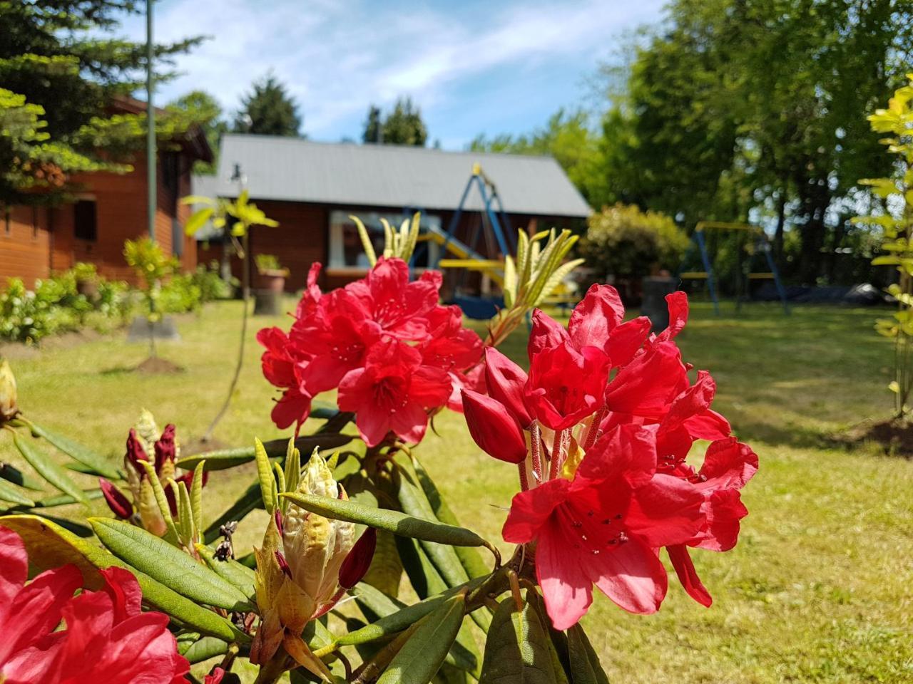 Cabanas Risso Villa Villarrica Luaran gambar