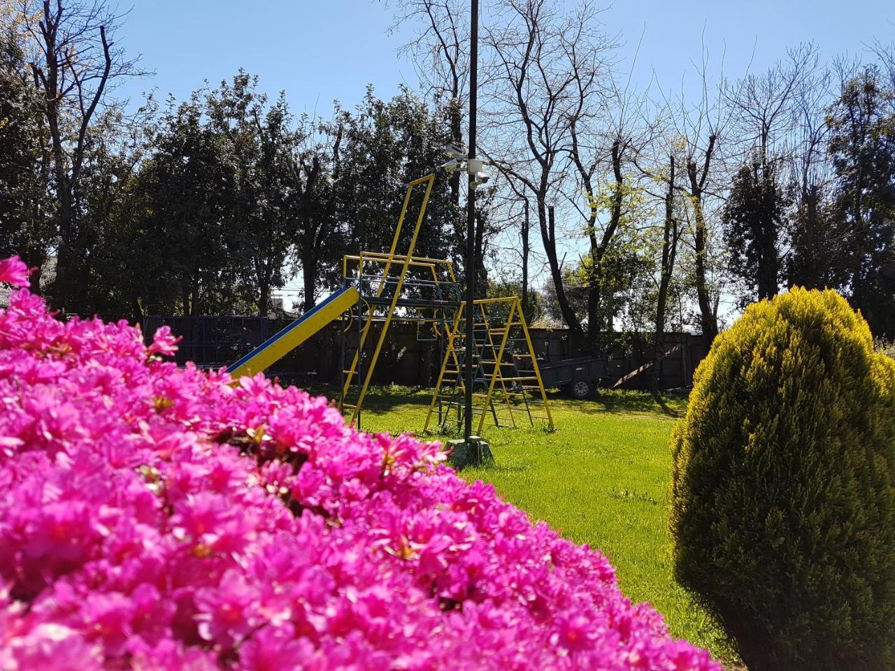 Cabanas Risso Villa Villarrica Luaran gambar